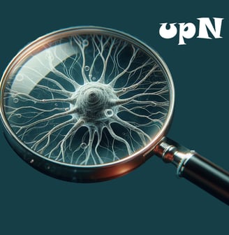 Un neurone vu au travers d'une loupe