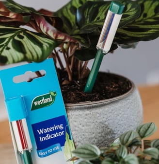 Watering moisture meter for houseplants