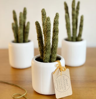 Three crocheted house plants in white ceramic pots