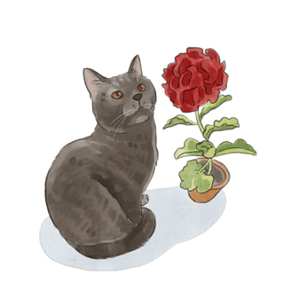 a cat sitting on a table with a flower in the background