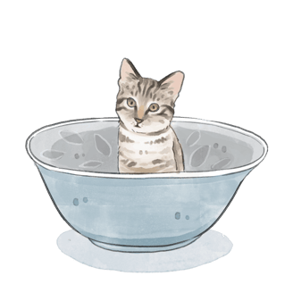 a cat in a bowl with a cat in the middle