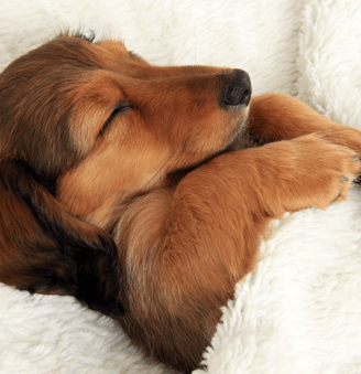 Amélioration du sommeil