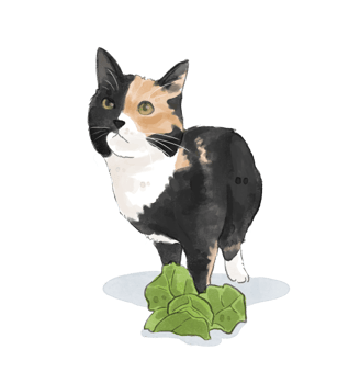 a cat standing on a leafy green leafy plant