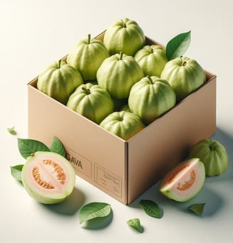 Guava for international export from India