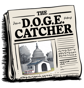 The DOGE Catcher political newsletter about Elon Musk's Department of Government Efficiency