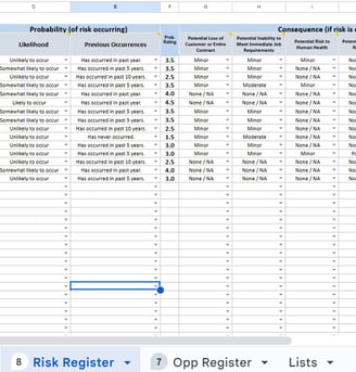 COTO Exercice with Issues, Risks & Opportunities Registers