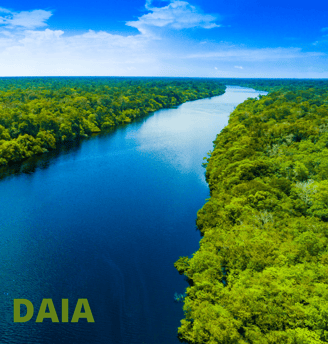 daia - licenciamento para área de app