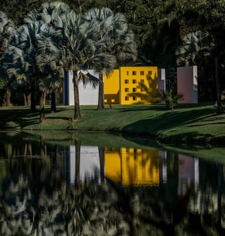 Jardim botânico de Inhotim: Uma vista panorâmica de espécies raras e uma escultura única em meio à n