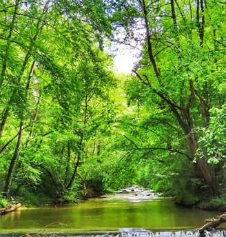 Schöner Fluss