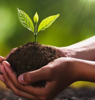 SAVE SOIL