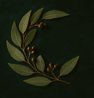 a branch of eucalyptus leaves on a green background
