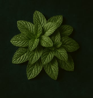 a green peppermint plant with a leafy green leaf on a green background