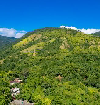Lush green hills on Montego Bay, Jamaica