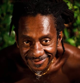 Pérola negra da MPB, Luiz Melodia