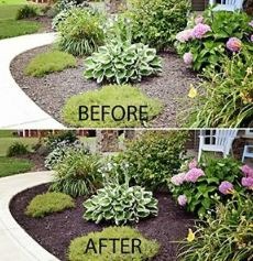 Colored mulch
