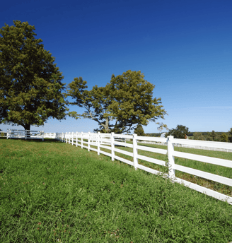 regularização de imóveis rurais