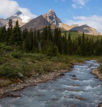 Icefields Parkway, featured on MyTripJunction.com travel blog.