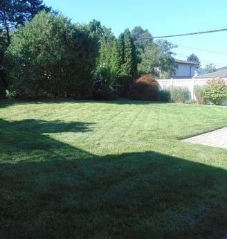 hamilton painting companies,handyman hamilton,bathroom renovations hamilton,landscaped back yard