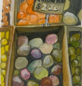 Organics at the Mill Market August 2024. watercolour and ink on cotton rag