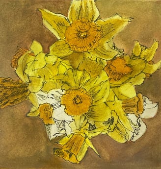 Daffodils in spring. watercolour and ink on cotton rag 200gsm