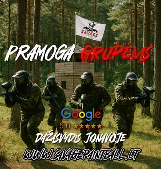 Dažasvydis dazasvydis paintball