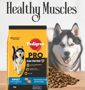 Pedigree Pro High Protein dog food pack for active adult dogs, featuring a happy Siberian Husky and
