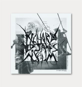 Proyecto: Portada Richard D. James Album