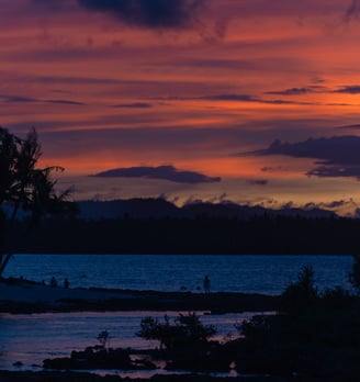 a sunset with a lone bird flying over a body of water