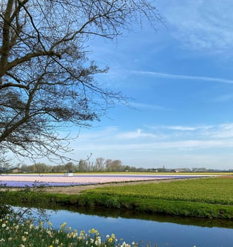 Keukenhof Gardens