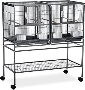 Pet Bird Supplies