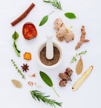 plantes comme méthode naturopathique