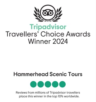 2024 TripAdvisot-Travellers Choice Award Winner 2024