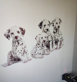 wall printers