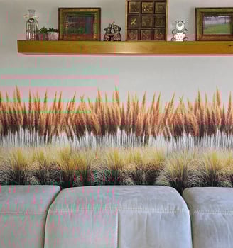Pampas Grass