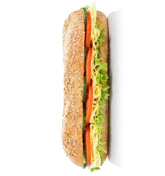 Veg hub filling sandwich which is multigrain bread, healthy sandwich options for the helathy people