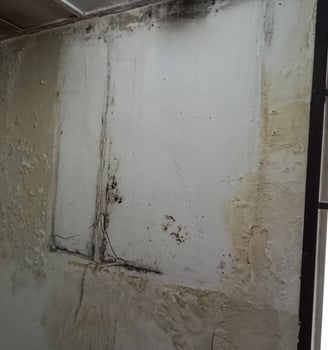 damp ,moldy wall 