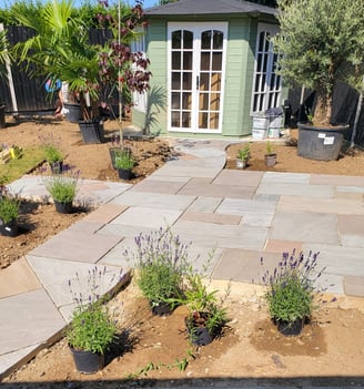Lavenders, olive trees and palms from the urban jungle
