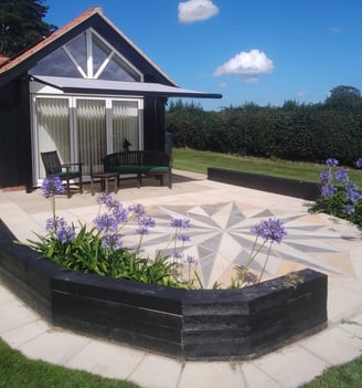 Agapanthus in bloom after garden build