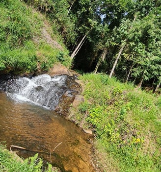CACHOEIRA