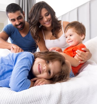 mold remediation family safe