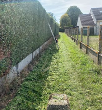 création de palissades et clôtures