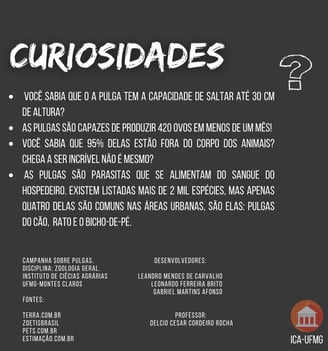 Pulgas curiosidades