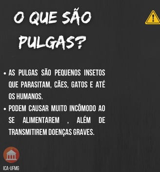 Controle de Pulgas