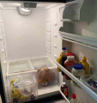 a refrigerator with a refrigerator door open and a chicken in it