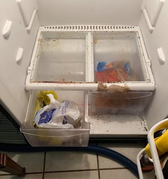 a refrigerator with a bunch of food in it