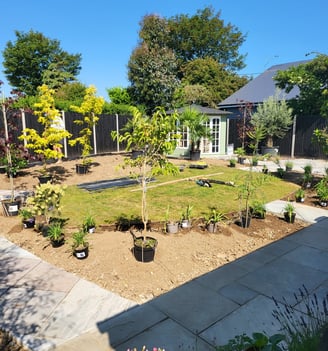 Paving complete, planting laid out