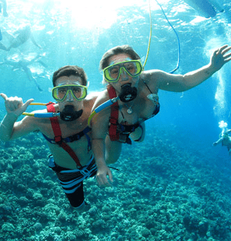 Book the Perfect Beach SNUBA and Snorkel tour with SNUBA Oahu | Hawaii ...