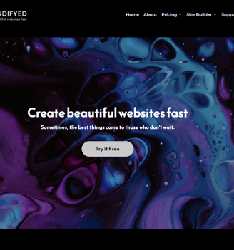 Website design and building services for any small to medium sized companies.