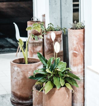 a group of three large pots with plants in them