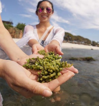 C Two people coastal foraging